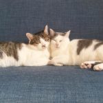 【10年目のTSUCURITE】