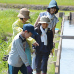 (日本語) 【千葉県白子町の玉ねぎを堪能した2日間】