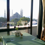 アルカディア インターナショナル