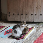 【サフランボルの街角】