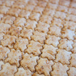 【出店のお知らせ】