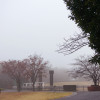 【The fog】
