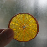 【お知らせとドライみかん】