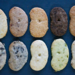 【豆クッキー各種】