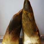 【たけのこご飯】