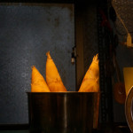 【台湾8日目 筍とタンデム】