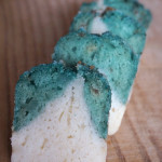 【久々の出店のお知らせ】