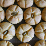 【出店のお知らせ】