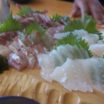 【和歌山の梅を巡る旅 その2】