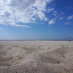 【和歌山の梅を巡る旅 その3】