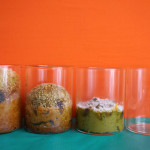 【ギフトの中身 その1 トナカイも食べたいvisionglassマフィン】