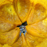 【今週末は手創り市】