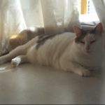 【通販について】