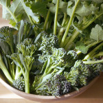 (日本語) 【新丸子の路地裏マルシェと春と、桜と、手創り市。】