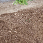 (日本語) 【家庭菜園の土作りのやり方】