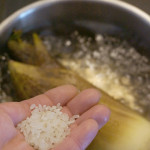 (日本語) 【米ぬかなしのタケノコの茹で方】