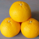 (日本語) 【夏みかんと黒豆の胚芽大麦グラノーラ】