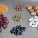 (日本語) 【畑で豆を育てる】