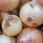 (日本語) 【お菓子に使う玉ねぎの下ごしらえ】