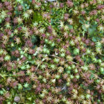 (日本語) 【開業5年目に突入しました】