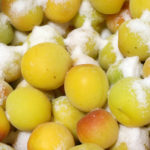 (日本語) 【2016年梅干しを仕込む】