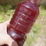 (日本語) 【梅酢から梅塩を作る】