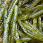 【ふきのアンゼリカ】