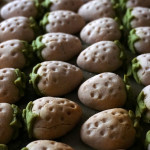 【いちごクッキー】