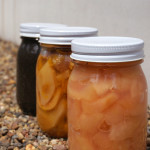 【お菓子の種】