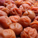 (日本語) 【梅の土用干し】