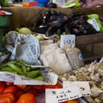 (日本語) 【愛知県常滑の旅 その3 オーガニックファーマーズ朝市村】