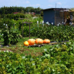 (日本語) 【愛知県常滑の旅 その6　新舞子のカフェに行く】