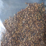 【ベトナムの豆茶を食べ尽くす】