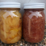 【お菓子のタネ】