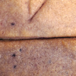 【化学実験 続報】