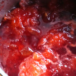 【プラムジャム】