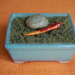 【体と心の変化】