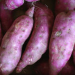 【酒巻農園さんのパープルスイートロード】