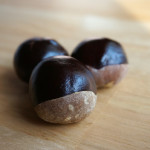 【栃の実】