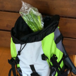 【物を増やさない】