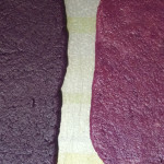 【アントシアニンの実験】