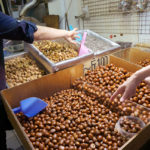 (日本語) 【台湾の旅 その7 揚げたてドーナッツと居酒屋さん】