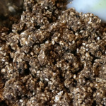 【お知らせ2つとお味噌仕込み、第2弾】