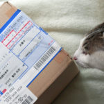 (日本語) 【適正価格について考える】