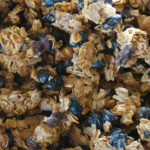 (日本語) 【今週末は路地裏マルシェ】