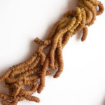 【有機的な形に惹かれる】