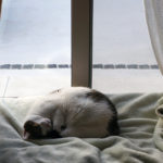 (日本語) 【接客業の楽しさ】