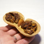 (日本語) 【お菓子にご縁あり】