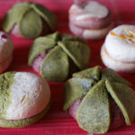 (日本語) 【5月の通販をお申し込みの皆様へ】