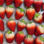 (日本語) 【ベリーシュトーレン】